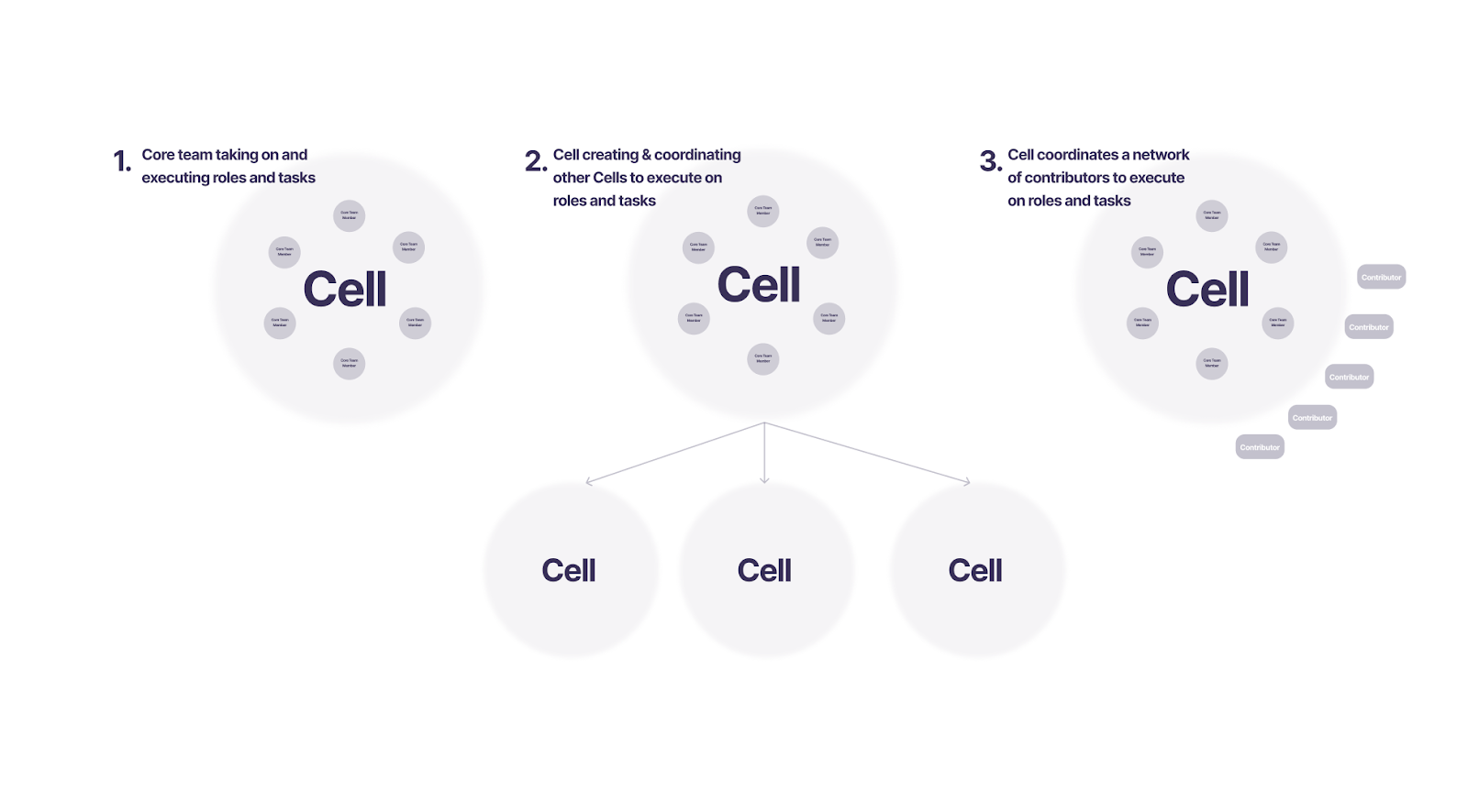 cell-structure